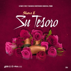 Shane E - Su Tesoro (Clean)