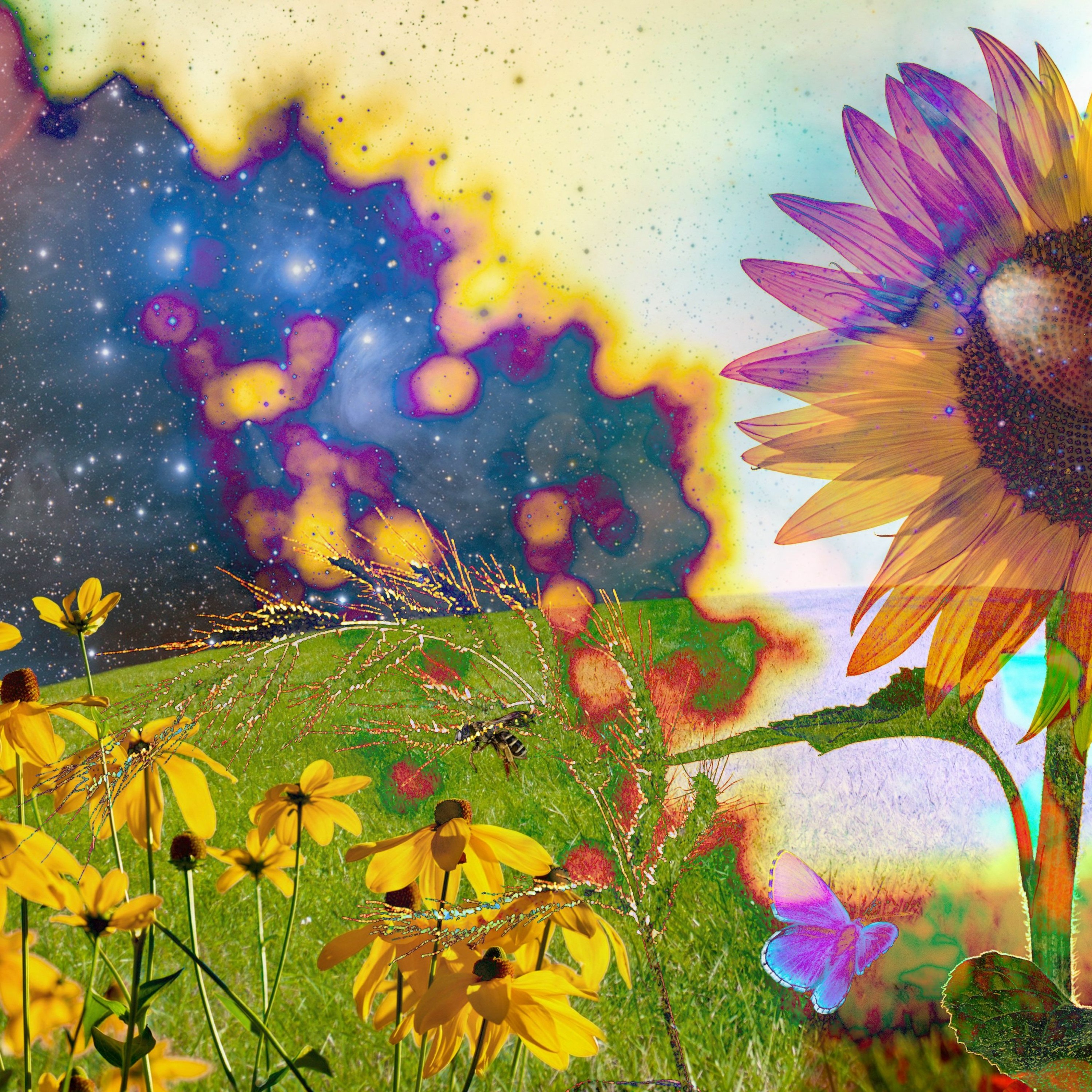Soil Music episode artwork