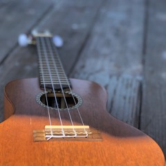 SSOT 2019 SONGS