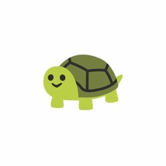 🐢
