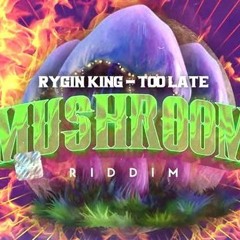 Rygin King - Too Late