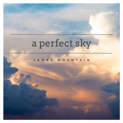 A Perfect Sky