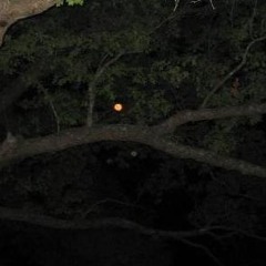 🤫 BLEIB RUHIG FT. HAYDAA (PROD. TIM)