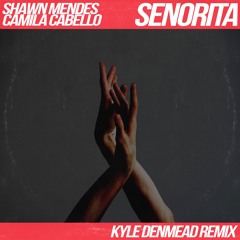 Shawn Mendes, Camila Cabello - Señorita (Kyle Denmead Remix)