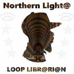 The Loop Librarian - Northern Light@