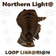 on The Loop Librarian - Northern Light@