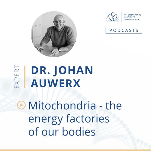 Mitochondria Energy Factories Of Our Bodies