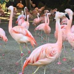 City Park