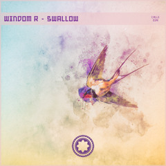 Windom R - Swallow (Zaslon Remix)