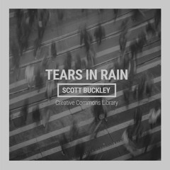 Tears in Rain (CC-BY)