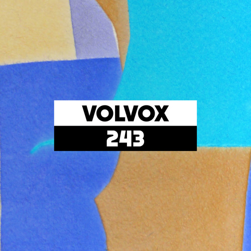 Dekmantel Podcast 243 - Volvox