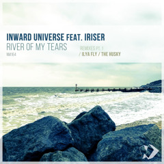 Inward Universe feat. Iriser - River of My Tears (The Husky Remix)