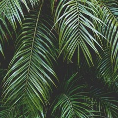 Solardo - Tribesman (Southwell Edit)