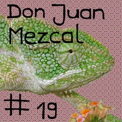 chameleon #19 Don Juan Mezcal @ Cacao Heart Journey 2019 / Cacaocita la medicina