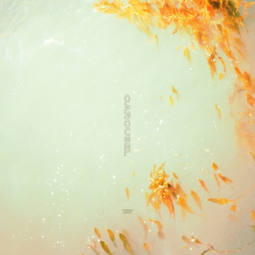 Tobias Dray - Carousel (ft. Benita)