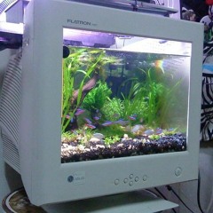 ＡＱＵＡＳＣＡＰＥ ！【﻿いわぐみ】