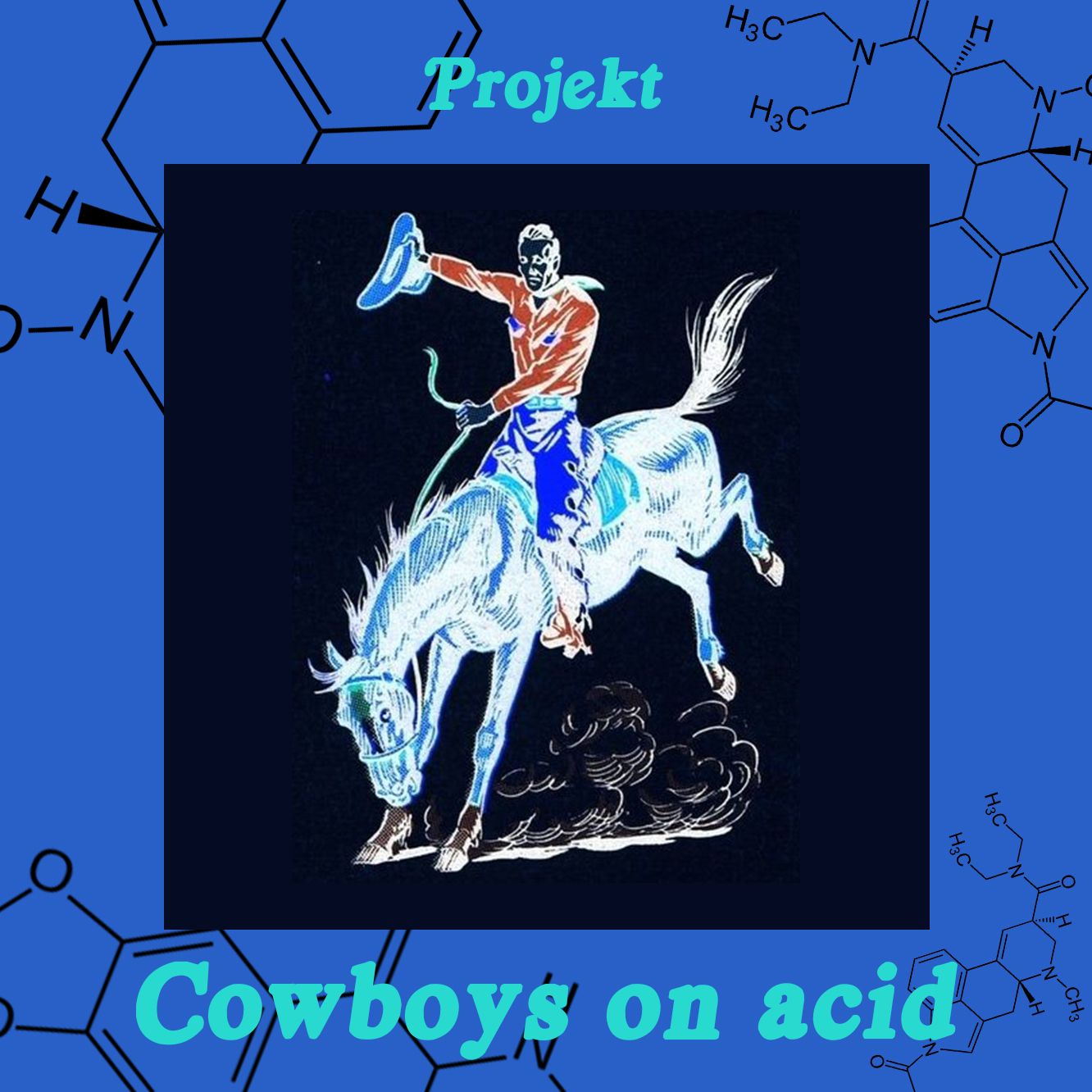 PROJEKT - COWBOYS ON ACID