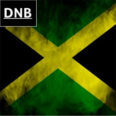 Reggae Dub Drum & Bass Mix Vol 1