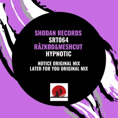 Râzkød & Meshcut - Later For You (Orginal Mix)