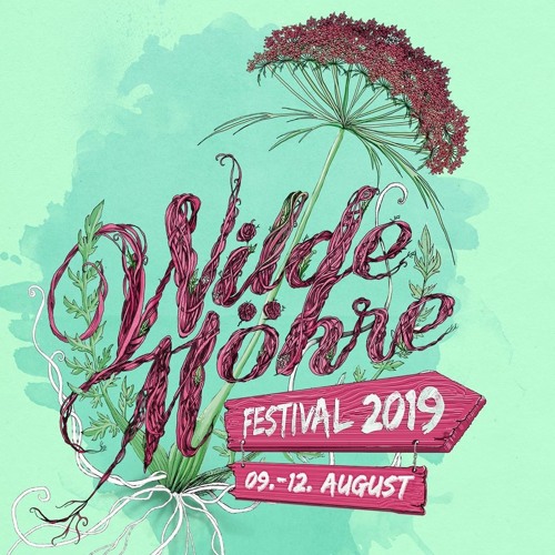 Wilde Möhre Festival 2019 - Marc DePulse (HOW I MET THE BASS Special)