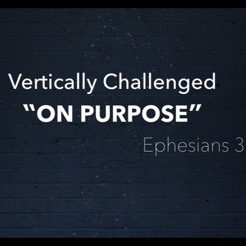 Vertically Challenged On Purpose Ephesians 3 7 28 19