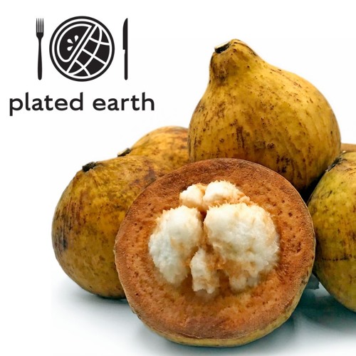 Episode 104 - Food Fable: Mangosteen
