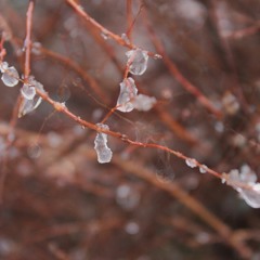 Music for Piano and Viola - Part 1