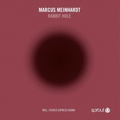 Marcus Meinhardt - Rabbit Hole (Original Mix)