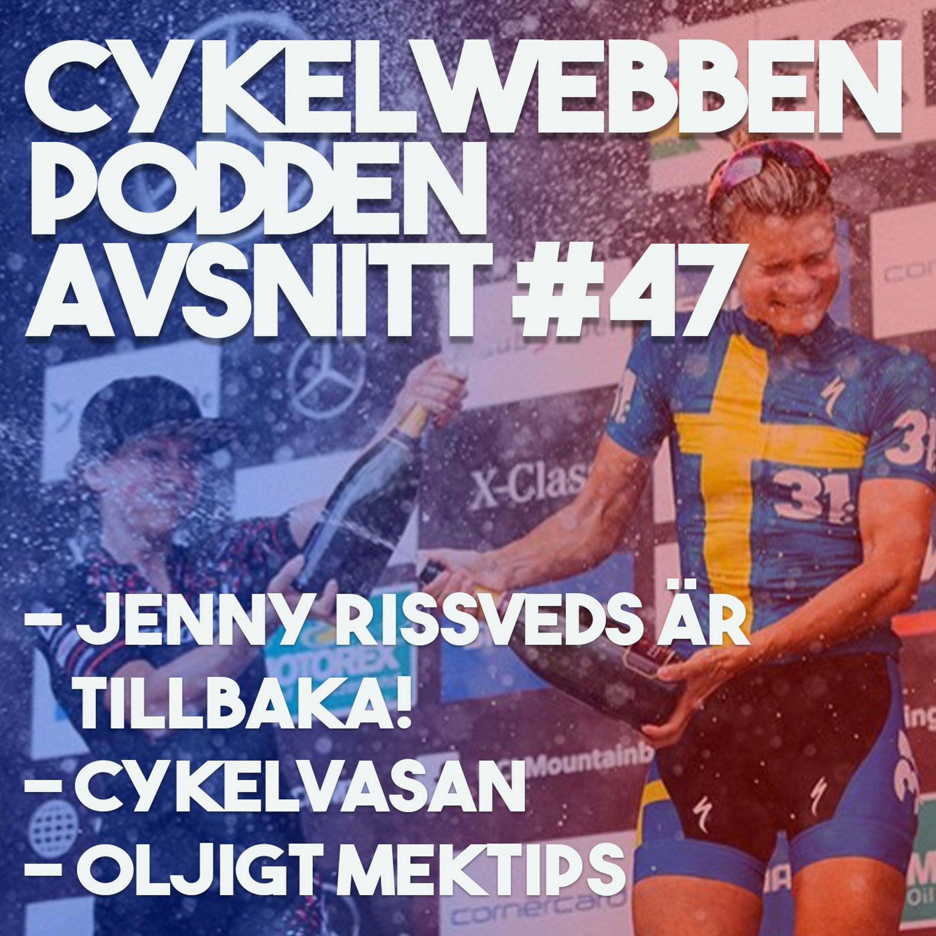 CykelwebbenPodden