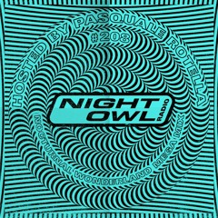 Night Owl Radio 208 ft. Nocturnal Wonderland 2019 Mega-Mix