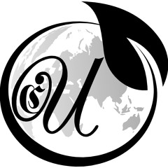 OOM  DAILY - UltimateStudio
