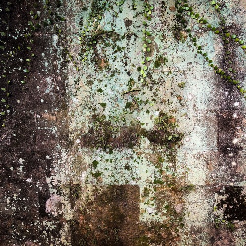Mark Slee - Patina: Touched [August 2019]