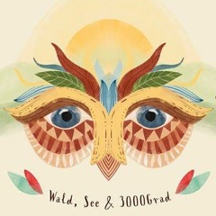 Felix Eul @ 3000Grad Festival - Klappfix - 11.8.3019