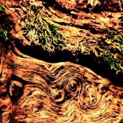 RAW DIRTY POWERFUL (rough demo)