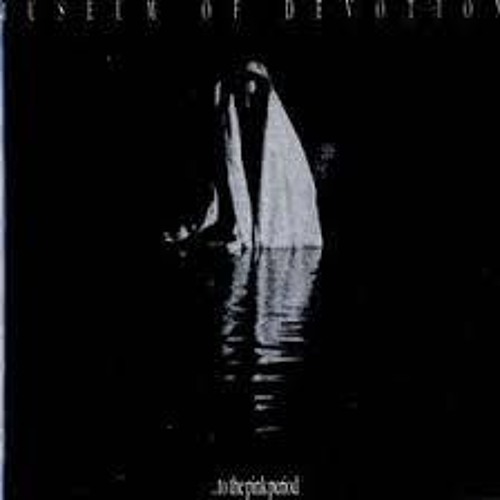 Canary In A Cathouse- Museum of Devotion
