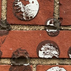 09 Jibun Dake Ja Nai