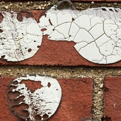 11 Ring Of The Crash Symbol