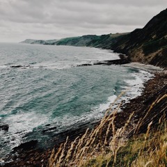 can't help falling in love - cover