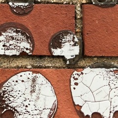 10 The Noise Of Strangers