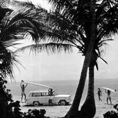 Le Nectår Vol. 12 Beachside Blaze