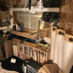 Room Without a View - by Leila Goldstein, Casey Georgi, & Samira Tazari