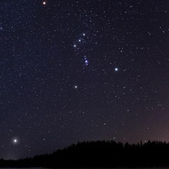 What Do You Want From Me