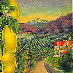 C i t r u s (version finale en description)