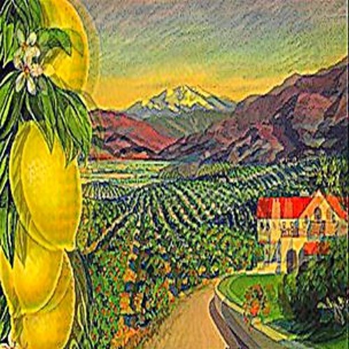 C i t r u s (version finale en description)