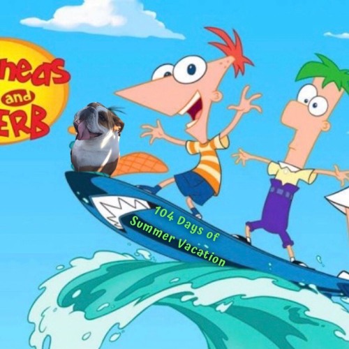 The Upload