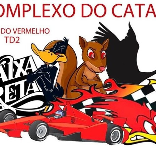 == MC PAPAY - HOJE EU ACORDEI SÓ PRA MATAR OS TCP [[ DJs WR & PL DO CATARINA ]]