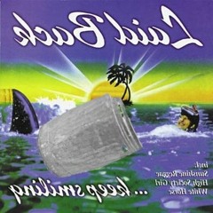 Fly Away (Laidback Cover)