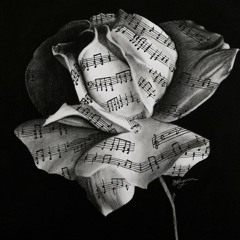 Dbrazy- Can't Get Enough