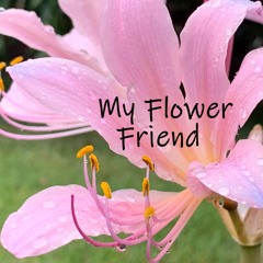 My Flower Friend - Original Song