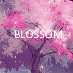 Blossom - momentum beats
